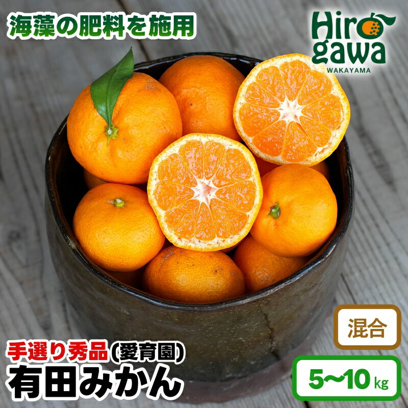 【ふるさと納税】 有田みかん 5kg 10kg 11000円 16000円 海藻施用 手選果 ※11月中旬から1月下旬頃に順次発送 / 温州みかん みかん 柑橘 くだもの 果物 果実 フルーツ 和歌山 紀州 有田 //mandarin