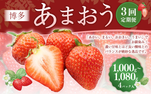【3回定期便】 博多 あまおう （250g-270g）×4パック いちご 苺 イチゴ あまおう フルーツ 果物 くだもの 定期 福岡県 岡垣町 【2027年2月上旬-4月下旬発送予定】