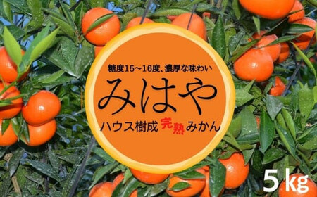 ＜先行予約受付中！2025年1月中旬から2月中旬の間に順次発送予定＞みはや(約5kg)みはや(約5kg)ハウス 樹成 完熟みかん 蜜柑 柑橘 かんきつ フルーツ 果物 くだもの【111600100】【永木農園】