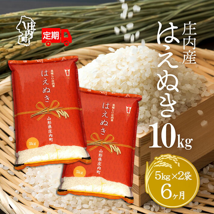 【ふるさと納税】＜10月中旬発送＞庄内米6か月定期便！はえぬき 10kg（入金期限：2025.9.25） 5kg×2袋 毎月中旬 ふるさと納税 米 定期便 山形県 新米受付 新米