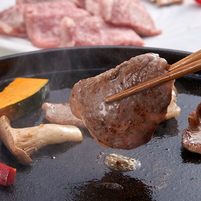 【ふるさと納税】 南信州牛 モモ 焼肉 用 400g | モモすき焼き用 モモ肉 もも肉 肉 焼肉 すき焼き 牛肉 お肉 信州 南信州 送料無料 ふるさと納税 長野県 飯田市 J02