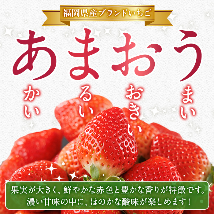 ＜先行予約受付中！2026年2月上旬以降順次発送予定＞博多 あまおう《春》 (計500g・250g～270g×2パック) いちご イチゴ 苺 ストロベリー 果物 フルーツ おやつ デザート 冷蔵 アマ