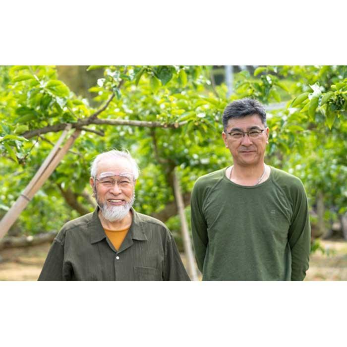 【梅干・梅酒用】（LまたはM－10Kg）熟南高梅＜2025年6月上旬～7月7日発送予定＞フルーツ 果物 くだもの 食品 人気 おすすめ 送料無料【ART08】　XL09_イメージ2