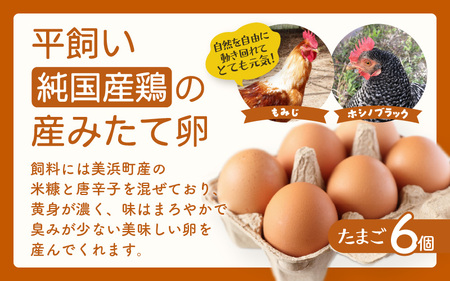 【先行予約】お野菜セット 旬の冬野菜と平飼い卵のお楽しみボックス【2025年12月上旬順次発送予定】【野菜 卵 セット 新鮮野菜 新鮮卵 詰め合わせ 農家直送 旬野菜 季節限定 旬の味覚 鍋 平飼い 