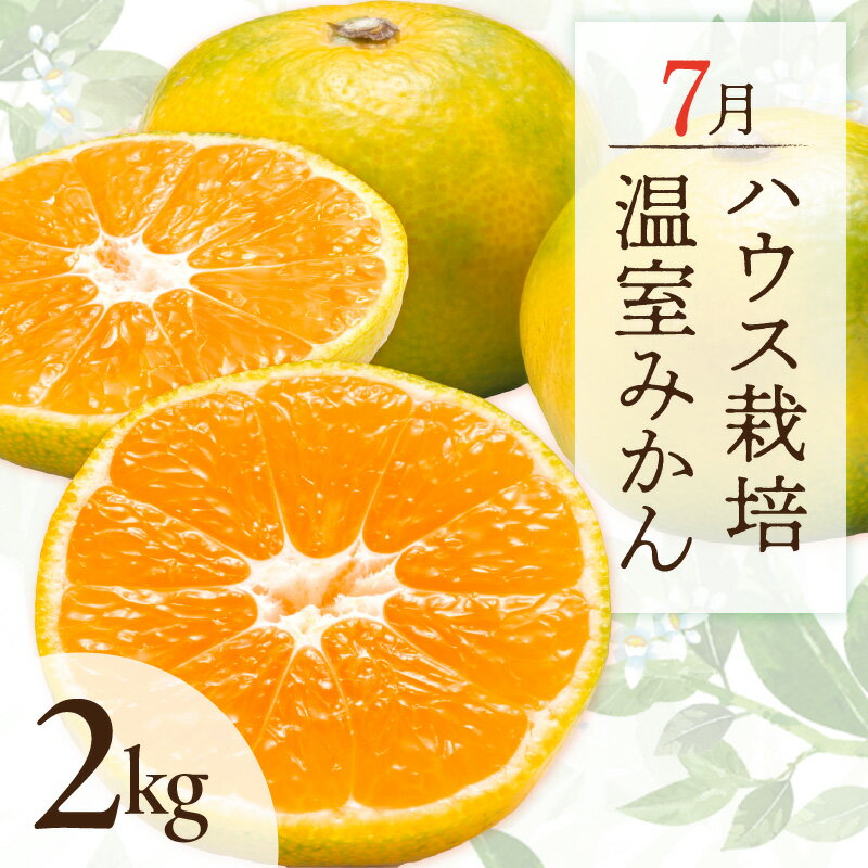 【ふるさと納税】7月の御浜柑橘 温室みかん 2kg │ みかん 高級品 国産 柑橘 フルーツ 果物 夏 旬 食品 産地直送 期間限定