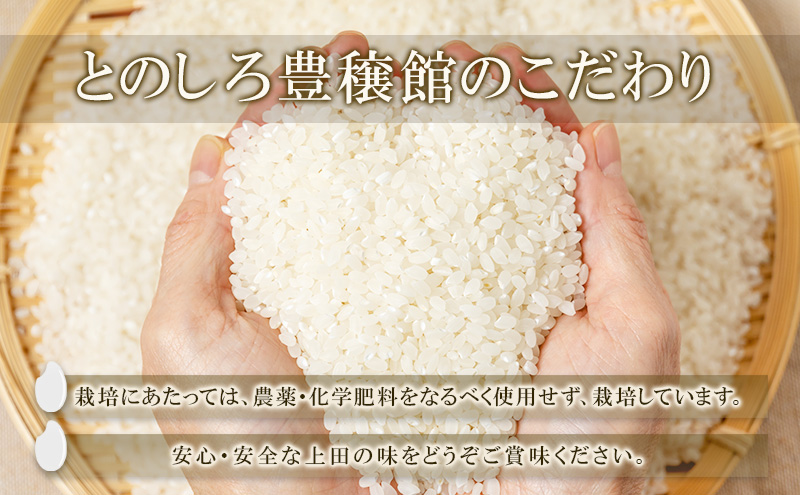 米 コシヒカリ 10kg お米 白米 精米 単一原料米 令和7年産 長野県産 長野 長野県 上田市