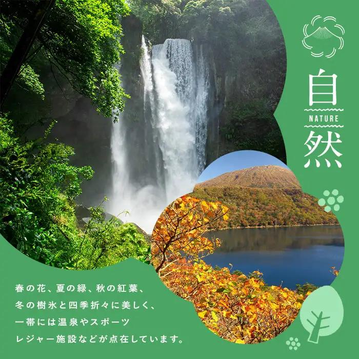 K-415 鹿児島県霧島市の対象ツアーに使えるHISふるさと納税クーポン(30,000円分)【エイチ・アイ・エス】霧島市 旅行 ツアー 観光 トラベル 旅 チケット 電子クーポン 旅行券