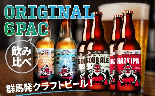 クラフトビール TENGOOD BEER 4種飲み比べセット 計6本 | ビール お酒 クラフトビール 地ビール テングビール ペールエール ブリティッシュペールエール アメリカンペールエール 瓶ビール オリジナルビール ホップ キレ フルーティー 苦味 プレゼント ギフト 詰め合わせ 家飲み 宅飲み 晩酌 前橋市 群馬県
