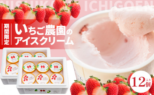 数量限定！いちご農園のアイスクリーム12個パック 　お土産 手土産 贈り物 ギフト プレゼント スイーツ AM-0009
