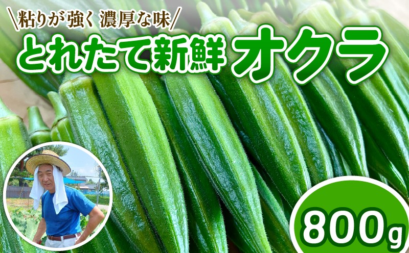 
                  【先行予約】 オクラ 新鮮 朝採り 採りたて 800g 令和8年産 おくら 特産品 野菜 夏野菜 つぐちゃん畑 新潟 新潟県 新発田産 新発田市 tsuguchan001_01
                