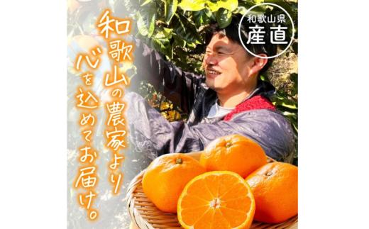 【全4回】和歌山旬のカンキツ定期便【M】3・5・9・11月発送（ご家庭用）※北海道・沖縄県・離島への配送不可 / 春の柑橘 初夏の柑橘 青切り 有田みかん 完熟有田みかん フルーツ くだもの 果物【ard-tkb906】