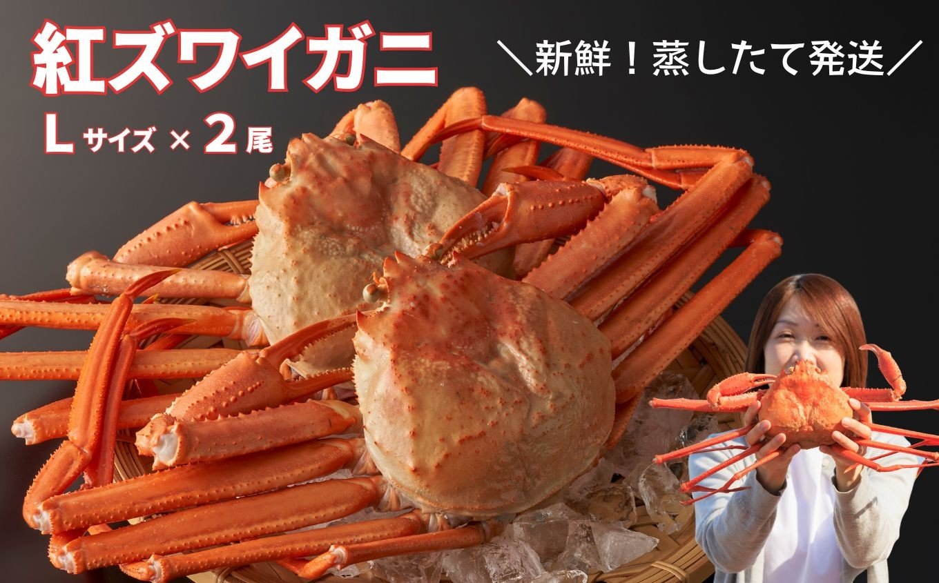 
            【選べる配送時期】日本海直送 紅ズワイガニ Ｌサイズ（650g前後）2尾 ベニズワイガニ 蟹 蒸し蟹 天下の険親不知からお届けします 姿 新鮮 姿 冷蔵 日本海 新潟 糸魚川
          