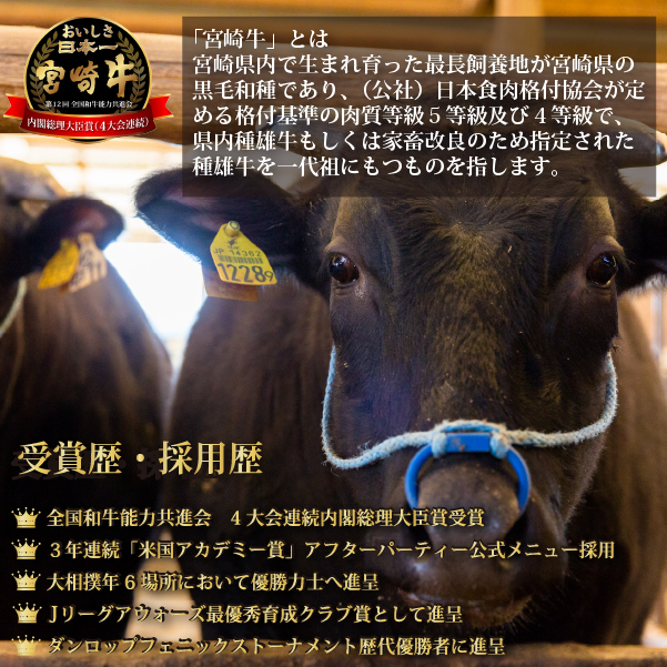 【A4等級以上】宮崎牛赤身ステーキ おためしファミリーパック 150g×3枚（宮崎牛 牛肉 和牛 ステーキ 赤身 モモ）_イメージ3