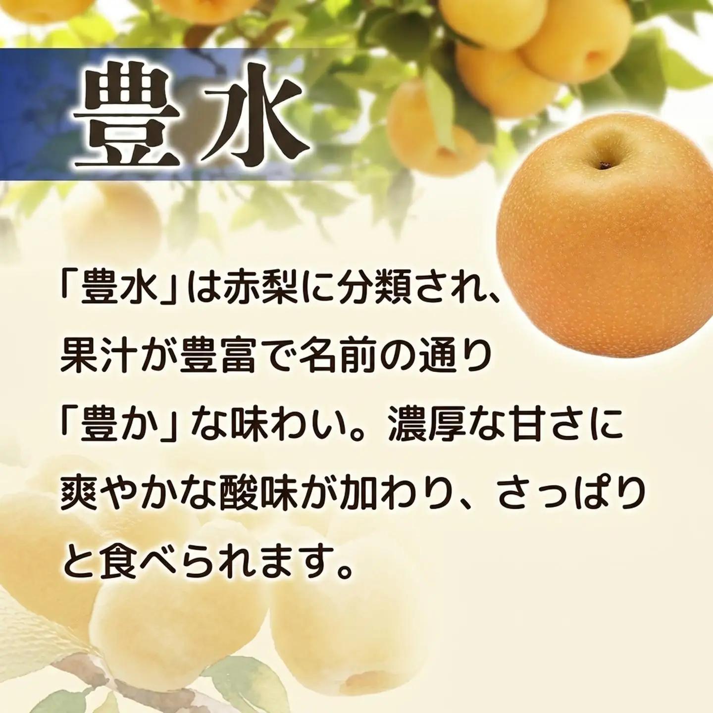 訳あり梨 豊水 約5㎏ 梨 なし フルーツ FN-Limited-PR
