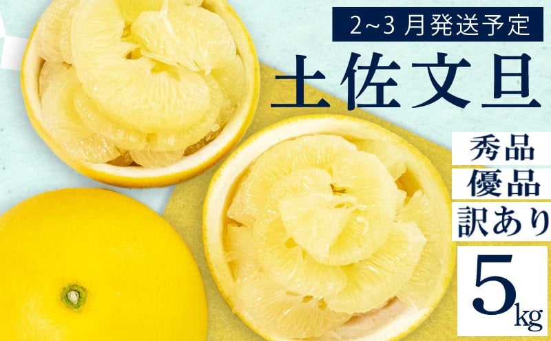 
            【2026年2月上旬から発送】 文旦 高知 5kg 訳あり 秀品 優品 3L 4L 浦ノ内特産 早期予約 予約受付中 期間限定 季節限定 限定 旬 みかん ミカン ぶんたん 高知県 土佐文旦 柑橘 贈答 お土産 KN024-all
          