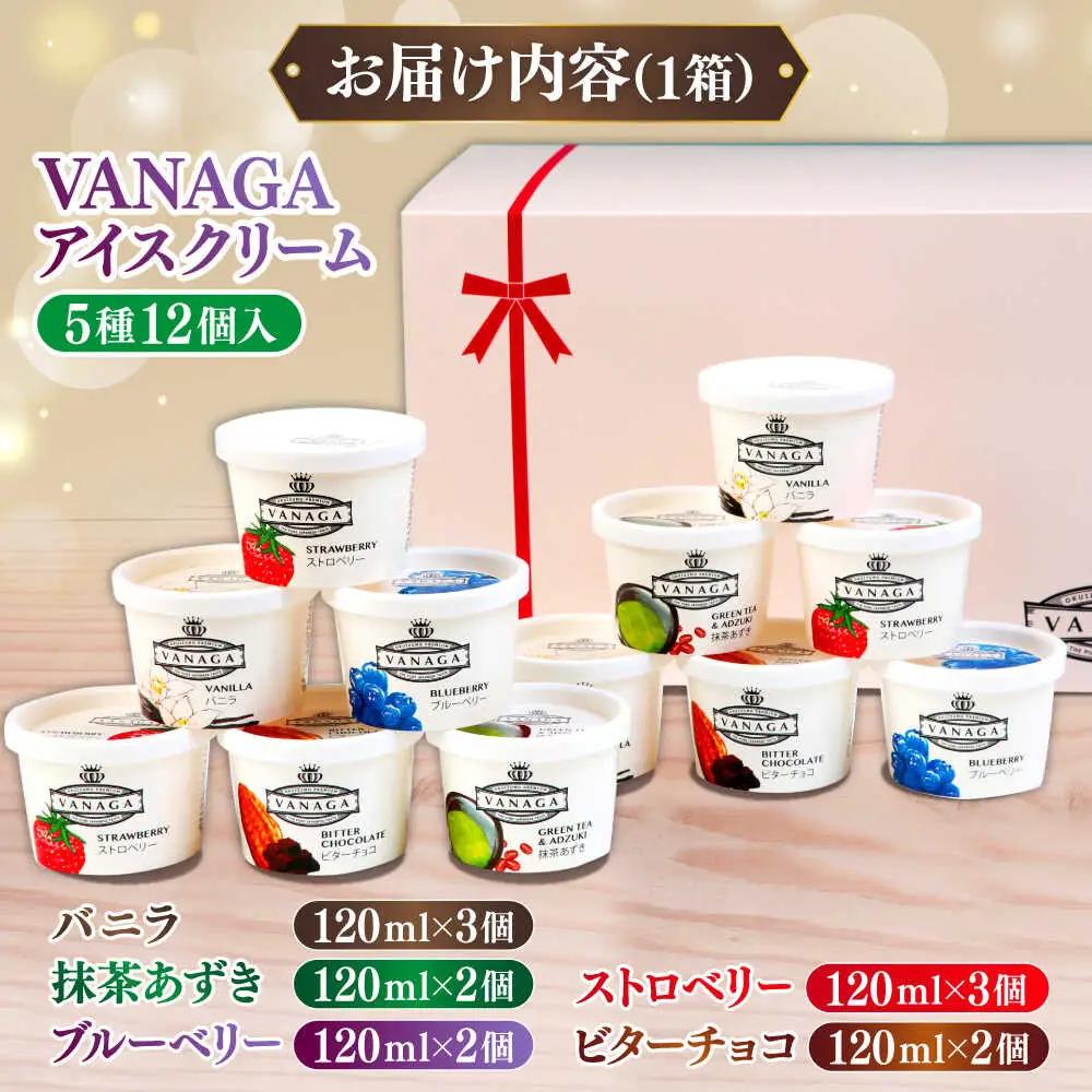 アイス 12個セット VANAGA ／ アイスクリーム [AIBH008]
