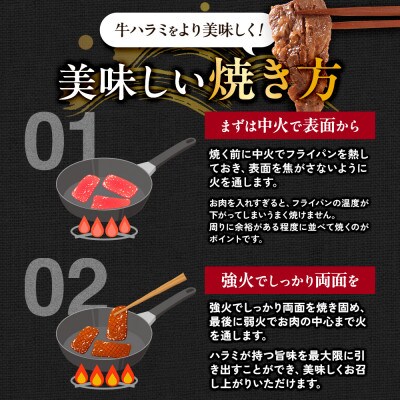 国産 特製たれ漬 牛ハラミサガリ 250g×4パック【配送不可地域：離島】