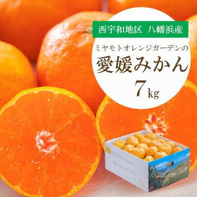 【ふるさと納税】【2025年11月より順次発送】西宇和地区八幡浜市産 愛媛みかん 7kg【D25-123】_ みかん ミカン 柑橘 フルーツ ふるーつ 果物 くだもの 青果 温州 甘い 濃厚 愛媛 希少 産直 産地直送 【1166253】