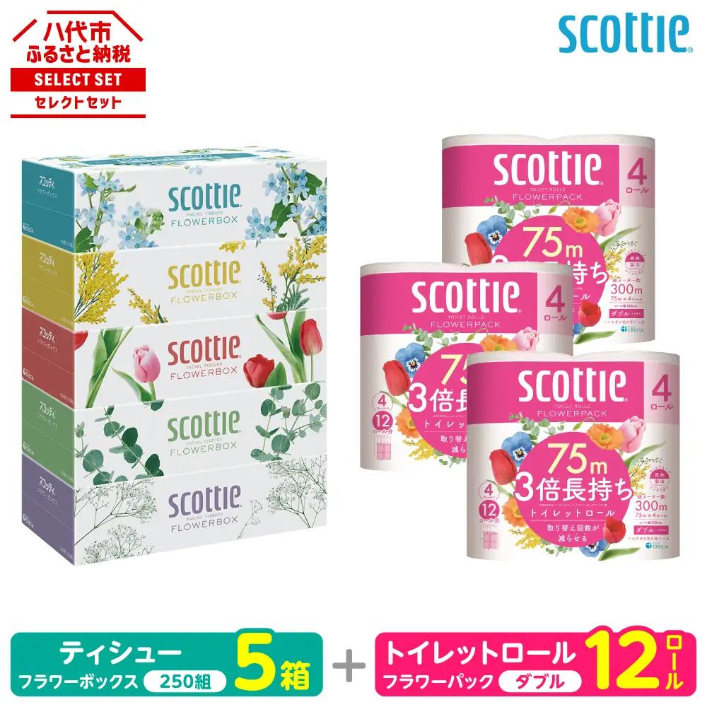 トイレットペーパー ダブル 12ロール ＋ ティッシュ 5箱 セット スコッティ ティッシュ トイレット