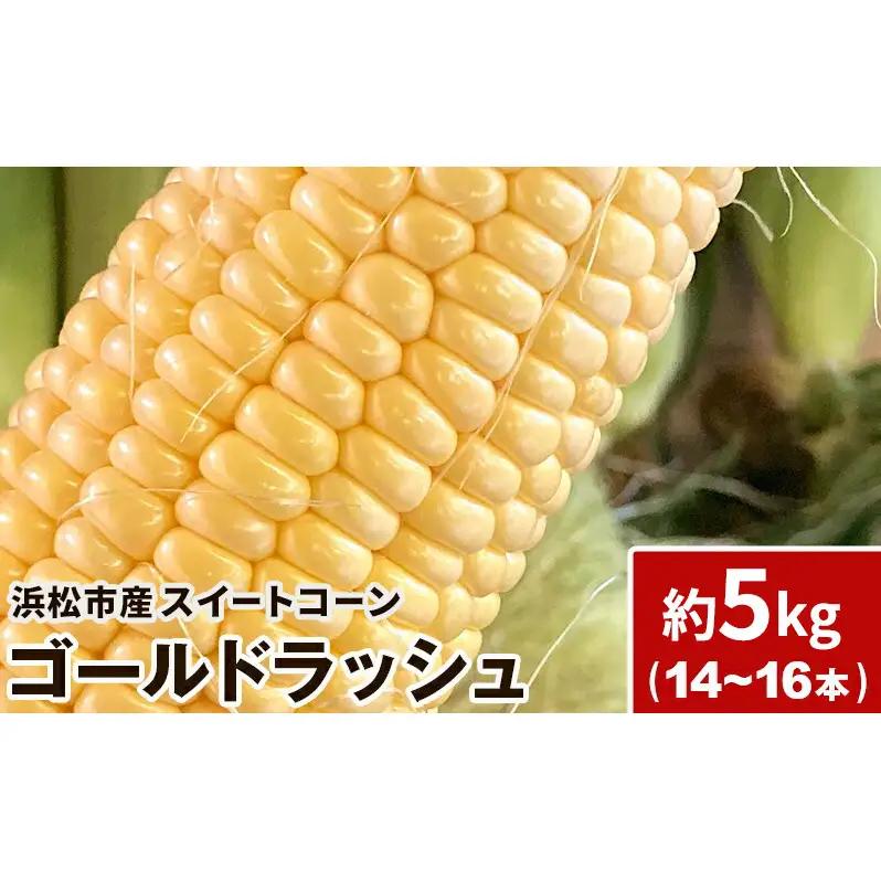 浜松産 スイートコーン ゴールドラッシュ 約5kg 14本～16本入り 1本300g以上 黄色粒 モノカラー種 とうもろこし 静岡 浜松市【配送不可：北海道、沖縄、離島】