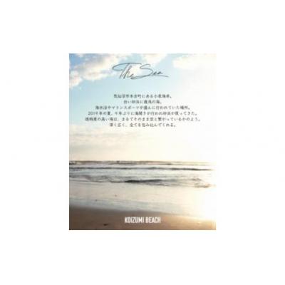 ふるさと納税 気仙沼市 KOIZUMI Shell Candle 1個 [ともしびプロジェクト 20563585] |  | 02