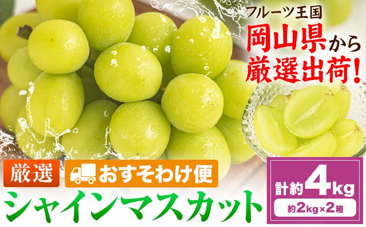 【おすそわけ便】シャインマスカット 計約4kg (約2kg(3-5房)×2箱)《2026年9月上旬-11月上旬頃出荷》岡山県 笠岡市 シャインマスカット 厳選 ぶどう ブドウ 葡萄 マスカット 果物 フルーツ ギフト---kasaoka_zsy_422_2000-2---
