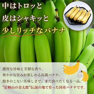 ふるさと納税 南足柄市 南足柄産金太郎バナナ スペシャル5本セット※数に限りがあります |  | 01