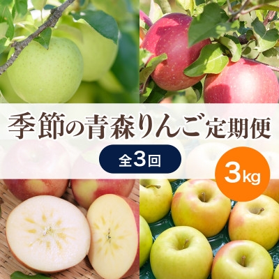 
                  ＜発送月固定定期便＞＜26年9月～11月＞青森りんご 訳あり 品種おまかせ 3kg全3回【4066845】
                