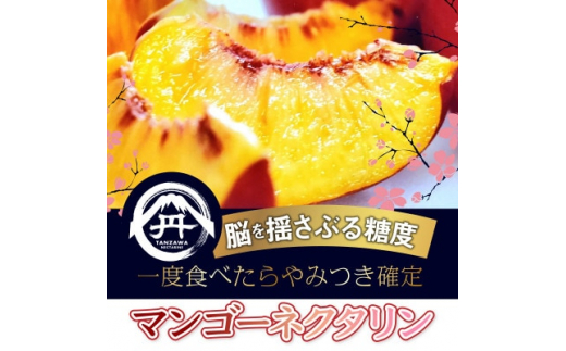 ＜脳を揺さぶる圧倒的糖度＞マンゴーネクタリンやみつきリピーター続出中2026年8月下旬より発送【1468756】