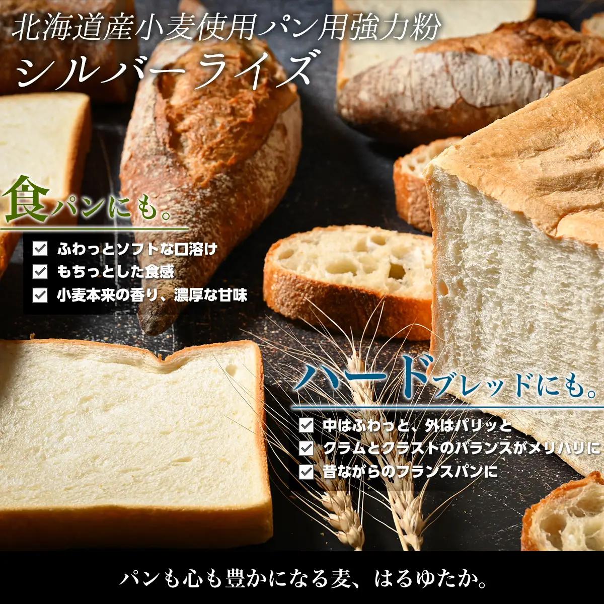 北海道産 小麦粉 はるゆたかブレンド小麦粉 シルバーライズ（パン用強力粉）5kg MROBI014