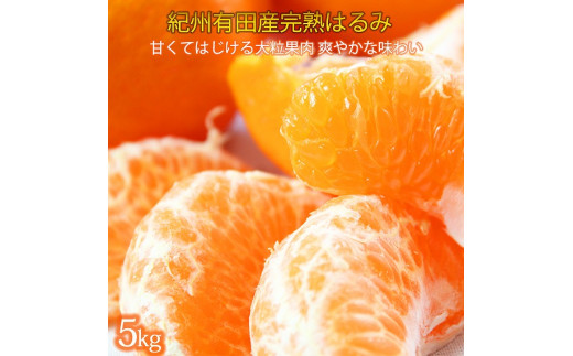 
            果肉ぷりぷり!完熟はるみ　５ｋｇ【2026年2月中旬頃～2026年2月下旬頃に順次発送】【UT22】
          
