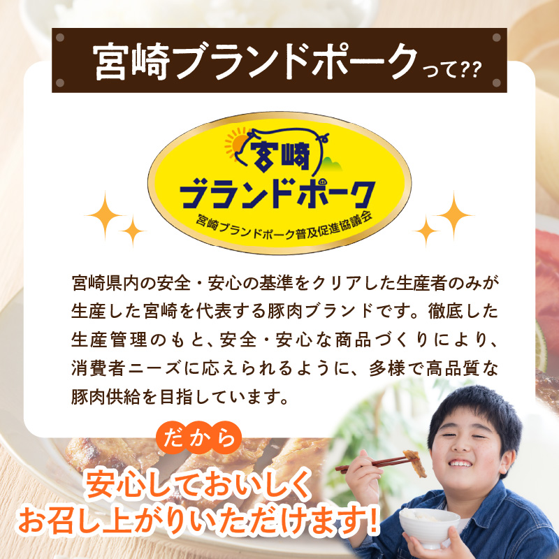 【宮崎ブランドポーク】豚ミンチ1kg N061-YA0452_イメージ3