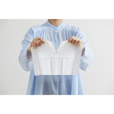 ふるさと納税 角田市 【10枚入り×24個】トルクリーン　トイレクリーナー厚手　 T-TA20　20枚入×12個 |  | 03