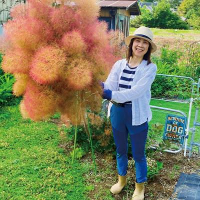 ふるさと納税 水戸市 【3月上旬より発送・数量限定】ミモザのバスケットアレンジ(限定品) |  | 03