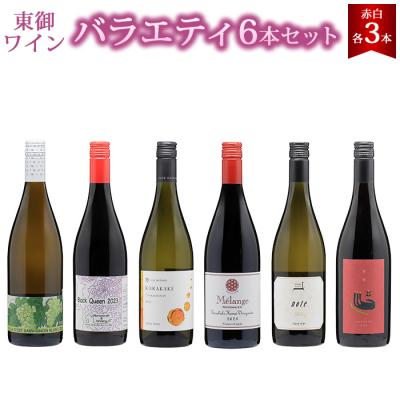 ふるさと納税 東御市 東御ワイン 赤白ワイン バラエティ6本セット