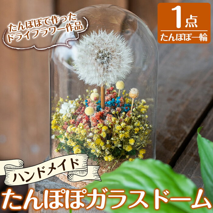 【ふるさと納税】たんぽぽガラスドーム・たんぽぽ一輪(1点)霧島市 インテリア たんぽぽ ガラスドーム 置き物 ドライフラワー ハンドメイド【かわいち国分】