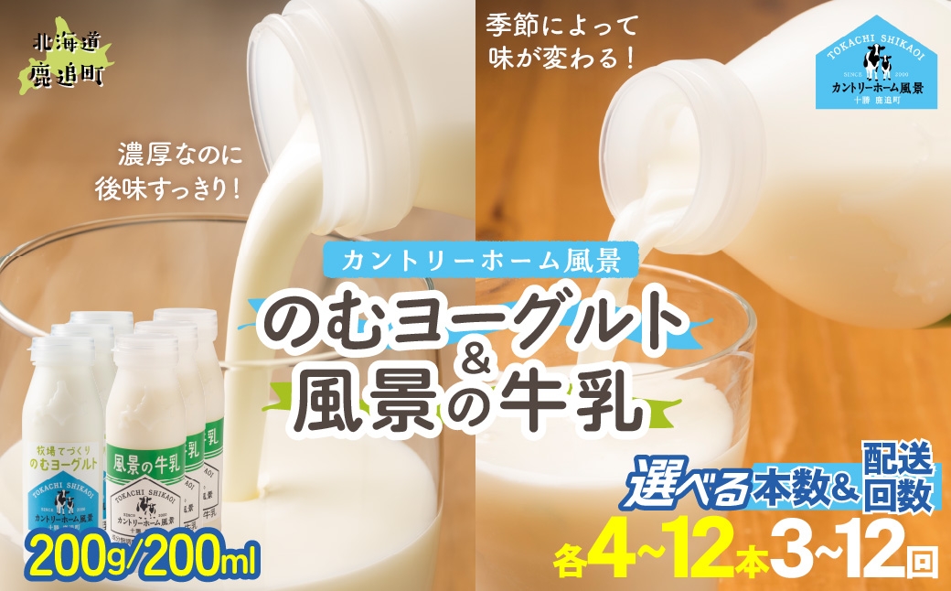 
                  のむヨーグルト200g 風景の牛乳200ml セット 選べる本数 期間 【 ふるさと納税 人気 おすすめ ランキング 牛乳 ヨーグルト 無添加 てんさい オリゴ糖 濃厚 定期便 カントリーホーム風景 北海道 十勝 鹿追町 送料無料 】 SKB115-v
                