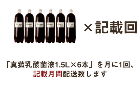 【定期便】真菰（まこも）乳酸菌液　1.5L×6本　3ヶ月定期便【n0511-03_nyu】