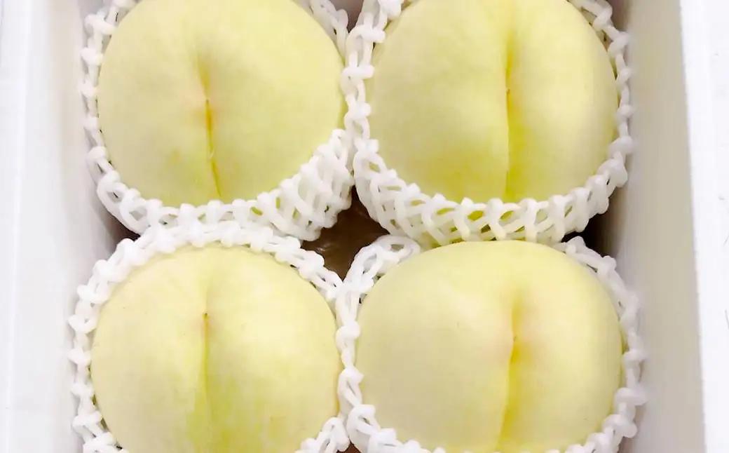 【先行予約】岡山白桃 約1.5kg（6玉前後）【2027年7月上旬～7月下旬迄順次発送予定】【もも 桃 清水白桃 白桃 果物 フルーツ 国産 人気 おすすめ 岡山県 倉敷市】