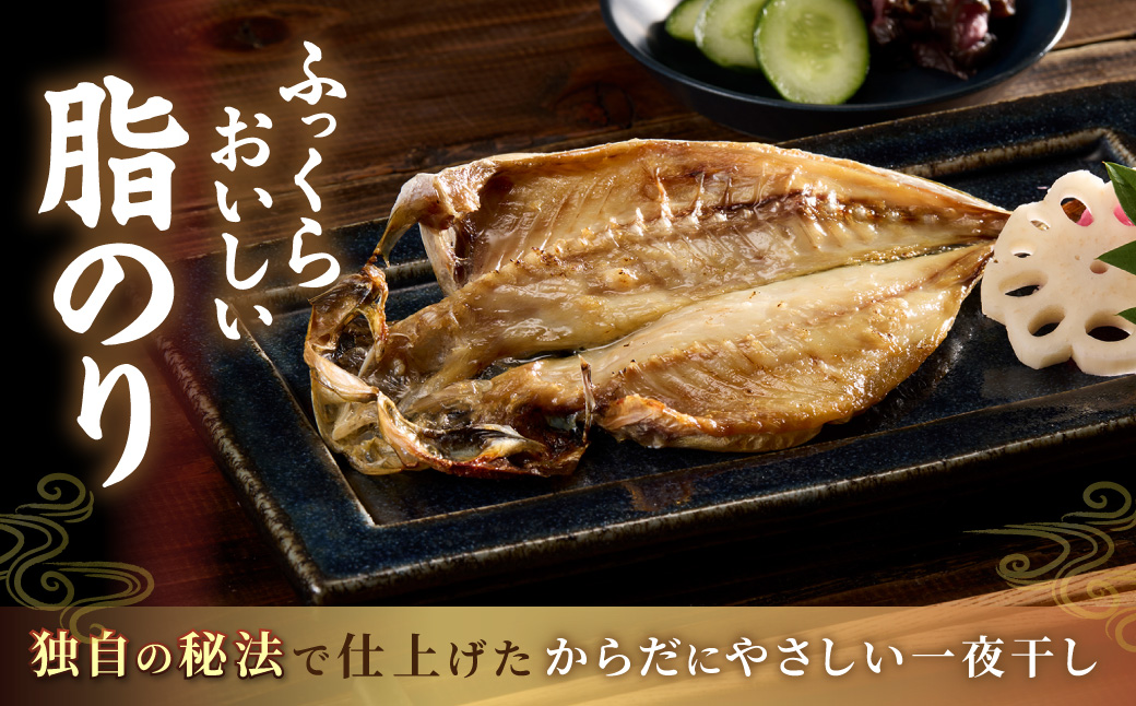 どんちっちあじ一夜干し10枚セット 魚介類 魚 干物 一夜干し あじ 鯵 セット 【136_0754】