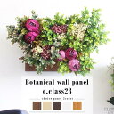 【ふるさと納税】Botanical c.class 28　ナチュラル