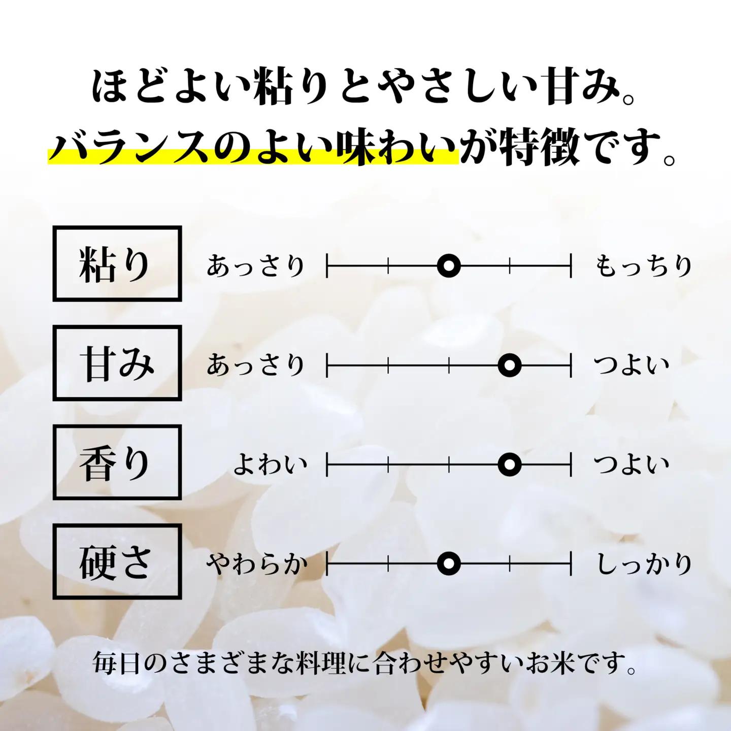 【定期5回】《精米》令和8年宮城県大崎市産 ひとめぼれ  10kg(5kg×2)*5回 | tm-htm-10kg-r8-t5