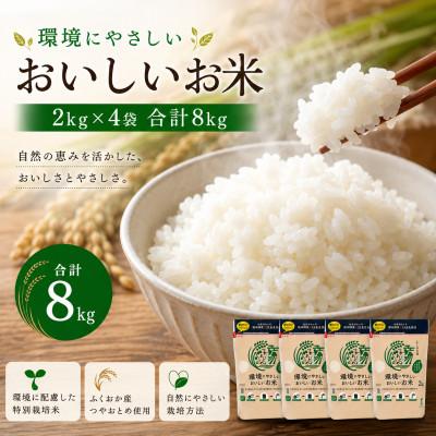 ふるさと納税 みやま市 環境にやさしいおいしいお米 つやおとめ 計8kg(2kg×4袋)(みやま市)