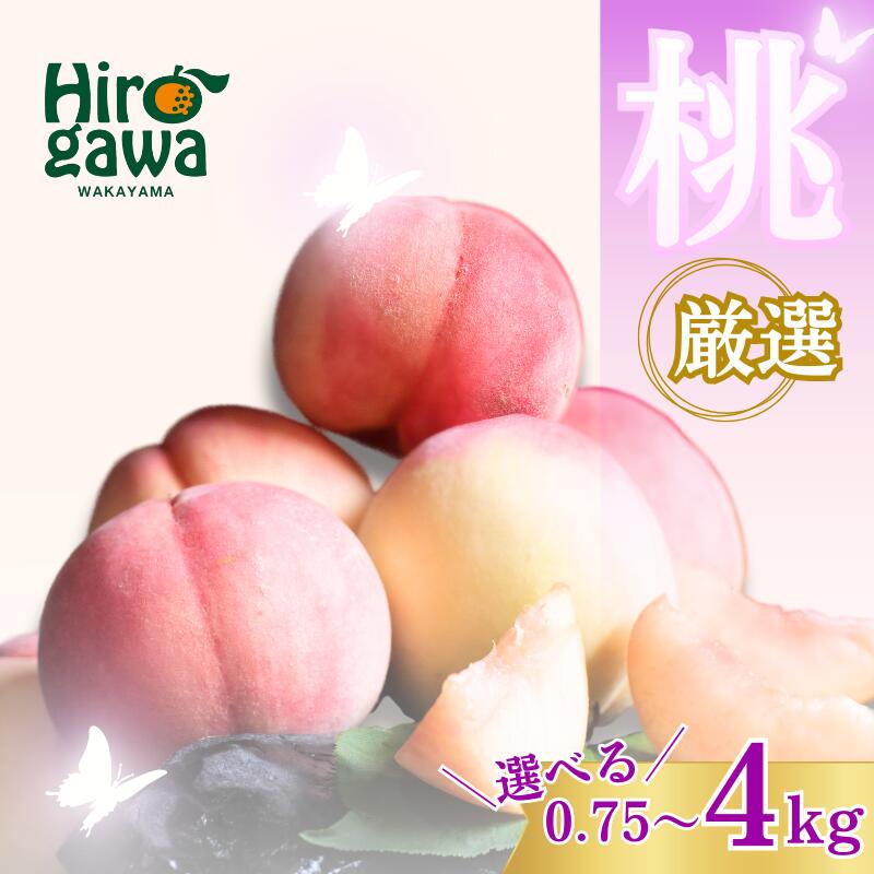 【ふるさと納税】 厳選 白桃 / 桃 もも 甘い 高級 和歌山 2kg 4kg 7000円 ※7月上旬～7月下旬に順次発送 ※北海道・沖縄・離島への配送不可 //hokaf