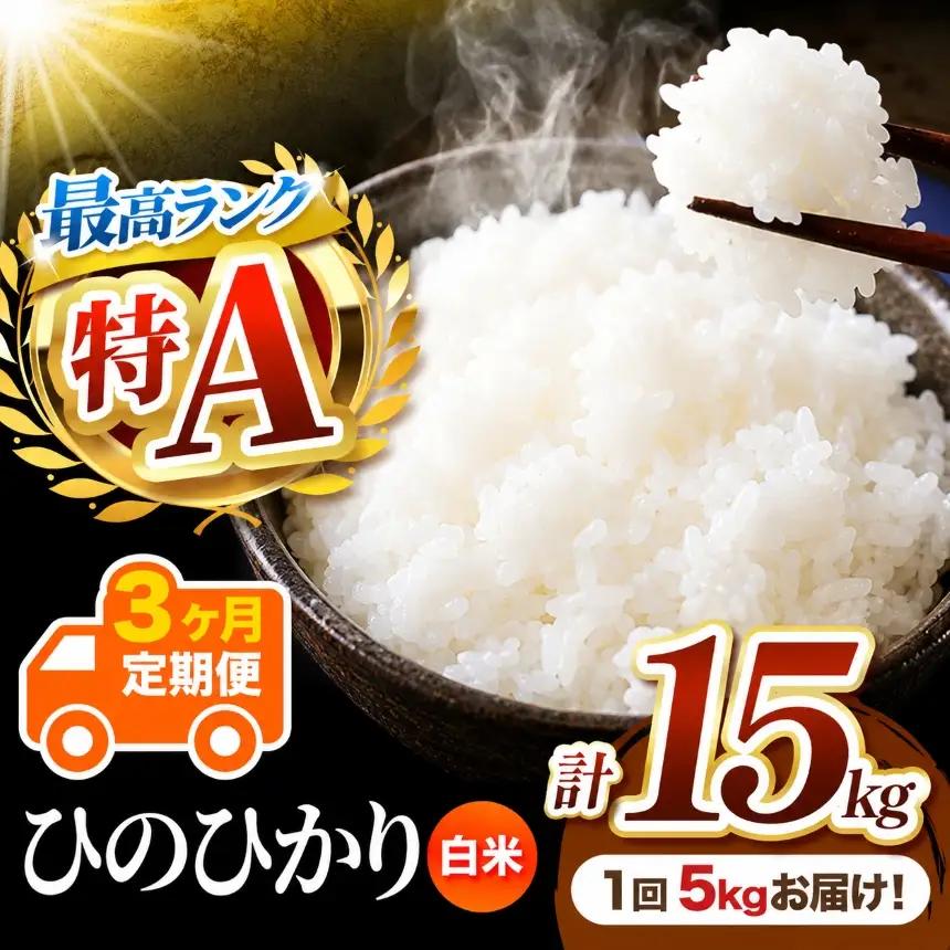 【 定期便 3回 】 R7年産 熊本県産 白米 ひのひかり 5kg