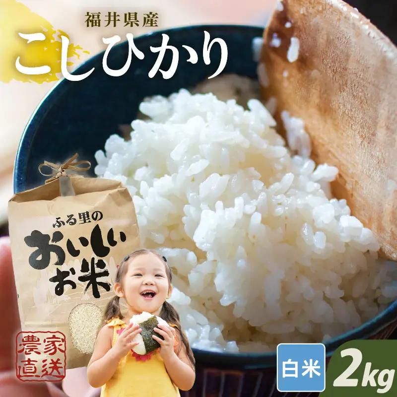 先行予約 コシヒカリ 白米 2kg ×1袋 精米 ブランド米 2026年10月上旬以降順次発送 [A-8998]