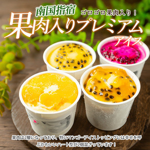 ゴロゴロ果肉入りプレミアムアイス10個セット マンゴーの森 IB040-008 アイス アイス