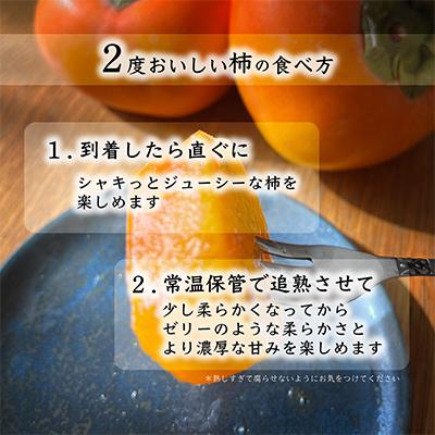 ふるさと納税 由良町 先行受付!　柿　種無し　赤秀品　超大玉　5〜6個 |  | 02