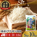 【ふるさと納税】【新米発送・選べる定期便】 ゆめぴりか 選べる5kg～10kg 《杉本農園》 知内町 ふるさと納税 米 こめ 北海道産お米 北海道米 美味しいお米 北海道産米 道産米 白米 精米 ふるさと納税 秋 旬