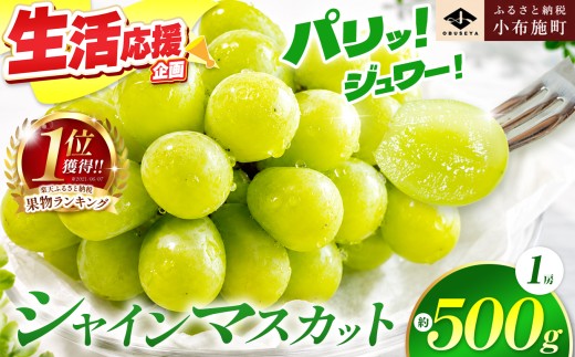 先行受付 シャインマスカット 約500g 1房 ［小布施屋］ フルーツ 果物 くだもの ぶどう 葡萄 ブドウ 数量限定 クール便配送 長野県産 産地直送 先行予約 送料無料 2026年発送 令和8年産 【2026年9月20日頃～11月頭にかけて順次発送】［A-303］